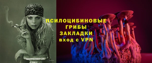 гашик Балахна