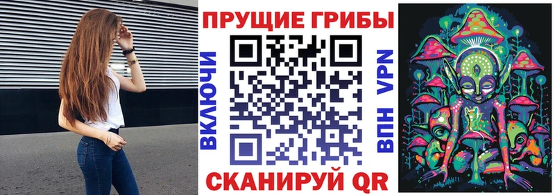 Галлюциногенные грибы Cubensis  наркота  Хилок 
